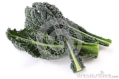 Black kale, italian kale Stock Photo