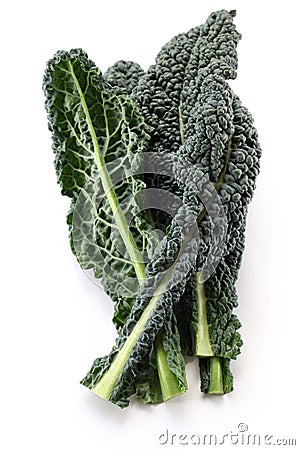 Black kale, italian kale Stock Photo