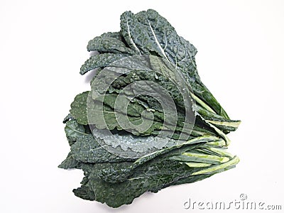 Tuscan Kale Stock Photo