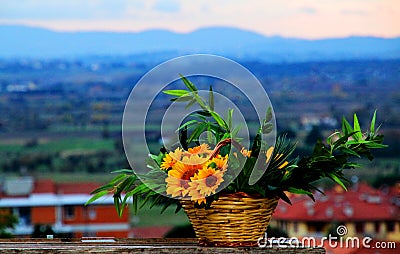 Tuscany colors Stock Photo