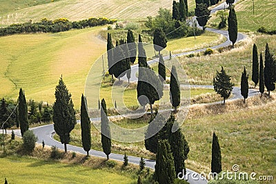 TUSCANY countryside devious street with cypress Stock Photo