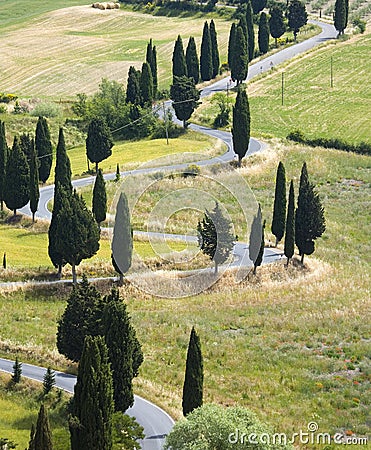 TUSCANY countryside, devious street with cypress Stock Photo