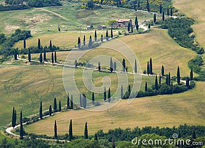 TUSCANY countryside, devious street with cypress Stock Photo