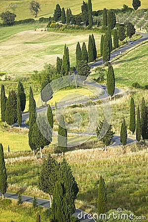 TUSCANY countryside, devious street with cypress Stock Photo