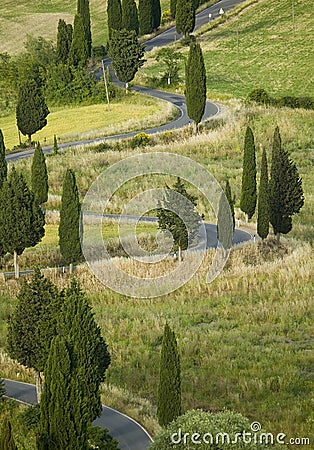 TUSCANY countryside, devious street with cypress Stock Photo