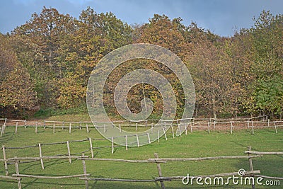 Tuscany farmland in a beautiful sunset colors Stock Photo