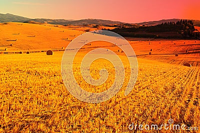 Tuscany Landscape Stock Photo