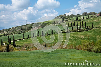 Tuscany Landscape Stock Photo
