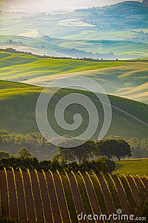 Tuscany landscape at sunrise. Typical for the region tuscan farm house, hills, vineyard. Italy Stock Photo