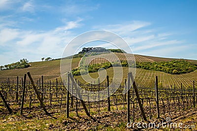 Tuscany Landscape Stock Photo