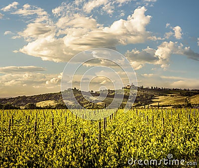 Tuscany landscape in Val d`Orcia between Sant`Angelo Scalo and Cinigiano - 05/23/2016 Stock Photo