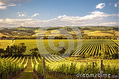 Tuscany landscape in Val d`Orcia between Sant`Angelo Scalo and Cinigiano - 05/23/2016 Stock Photo