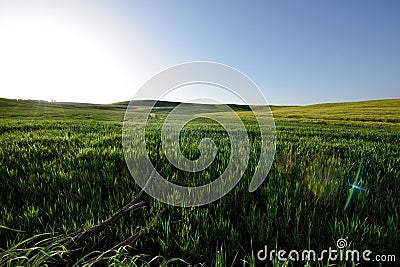 The hill of Tuscany, paradise is next CII Stock Photo