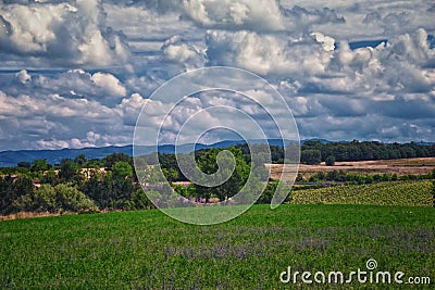 Tuscany vineyard winery typical estate in Italy Stock Photo