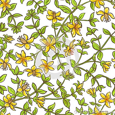 Tutsan branch vector pattern Vector Illustration