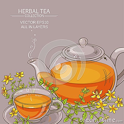 Tutsan tea vector illustration Vector Illustration