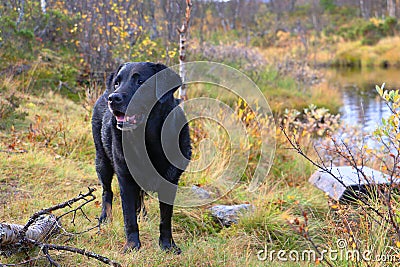 Tuva Stock Photo