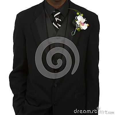 Tuxedo Stock Photo