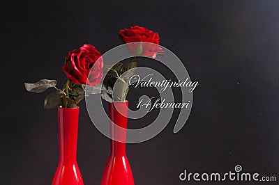 Valentijsdag 14 februari zonder jaartal met rozen in rode vazen Stock Photo