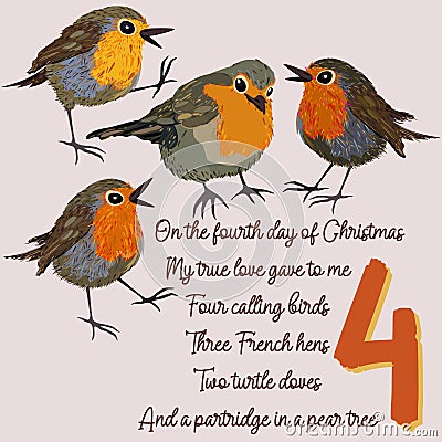 The twelve days of Christmas. Fourth day. Four calling birds. Vector Illustration