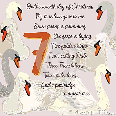The twelve days of Christmas. Seventh day. Seven swans-a-swimming. Vector Illustration