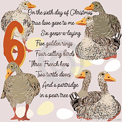 The twelve days of Christmas. Sixth day. Six geese-a-laying. Vector Illustration