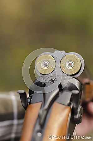 The twelve-gauge gun Stock Photo