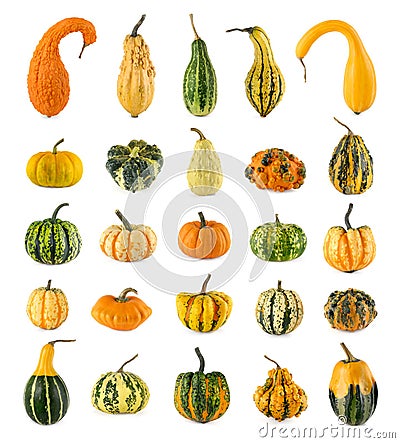 Twenty-five different ornamental pumpkins Stock Photo