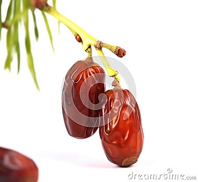 Twig of fruit of a dates - white background Stock Photo