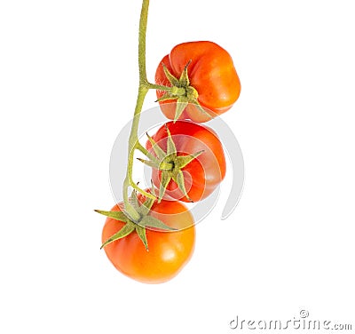 Twig with three red ripe tomatoes on a white background, isolate. Natural vegetables grown in the garden Stock Photo