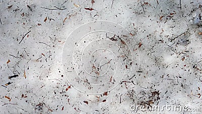 Twigs and dry leaves on the forest floor. The snow is melting.The snow is melting. Spring is coming Stock Photo