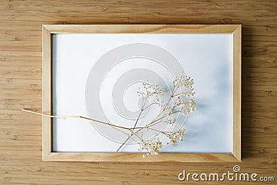 Twigs of gypsophila with soft shadows on an empty wooden picture frame, bamboo background, minimal still life as flat lay Stock Photo