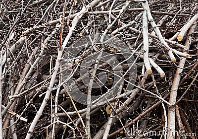 A twigs and the sticks close-up Stock Photo