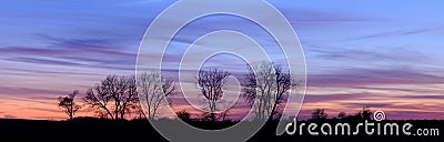 Twilight tree line (Panoramic) Stock Photo