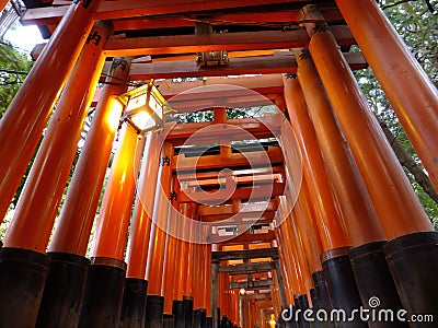 Twilight view of the Senbon Torii of Fushimi Inari-taisha Editorial Stock Photo