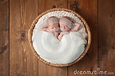 Twin Baby Boys Sleeping in a Basket Stock Photo
