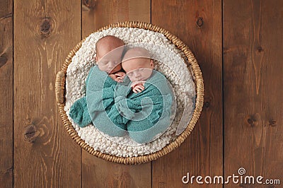 Twin Baby Boys Sleeping in a Basket Stock Photo