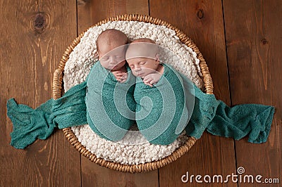 Twin Baby Boys Sleeping in a Basket Stock Photo