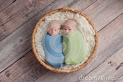 Twin Baby Boys Telling Secrets Stock Photo