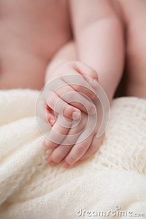 Twin Baby Girls Holding Hands Stock Photo