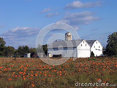 Twin Barns Stock Photo