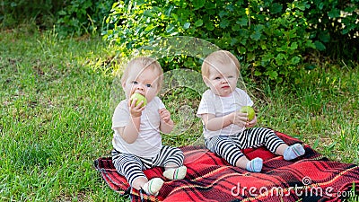 Twin children eat apples in the fresh air sitting on a blanket Stock Photo