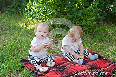 Twin children eat apples in fresh air sitting Stock Photo
