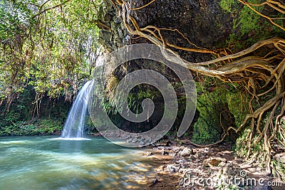 Twin Falls Wilderness Stock Photo