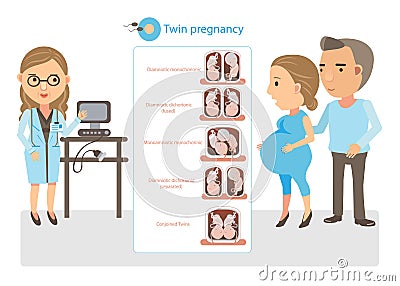 Twin Pregnancy Vector Illustration