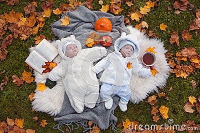 Twins in autumn park Stock Photo