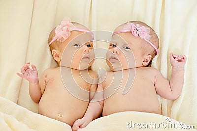 Twins Stock Photo