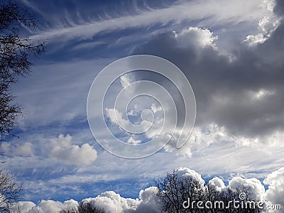 Twist and collision of air masses in the blue sky behind the treetops. Stock Photo