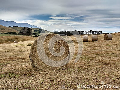 Twisted haystack on agriculture field. Stock Photo