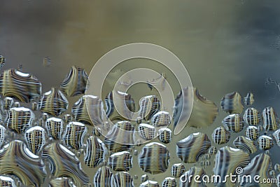 Macro photo. Abstract aqua pattern as background. Stock Photo